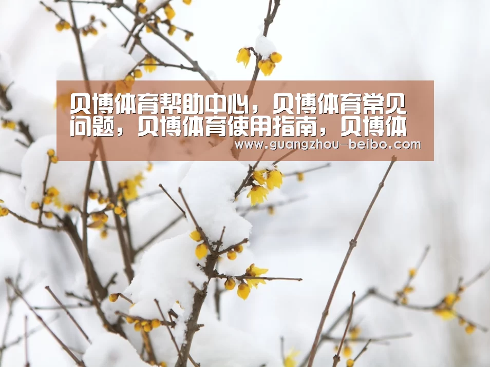 贝博体育帮助中心，贝博体育常见问题，贝博